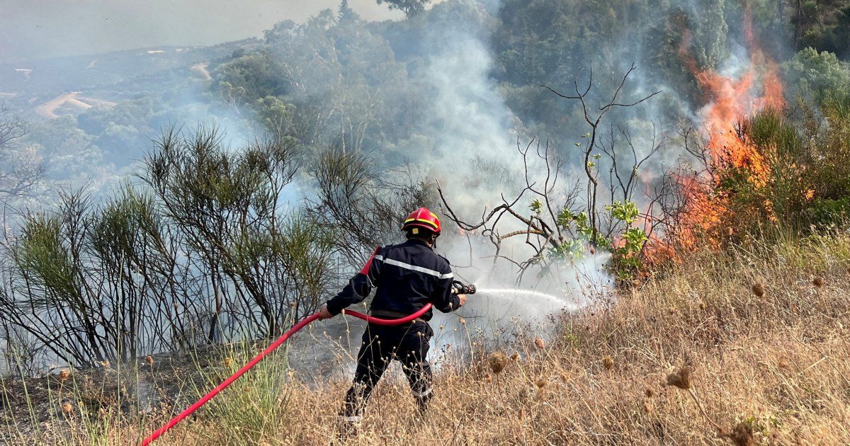 Deaths reported as wildfires spread across northeastern Algeria