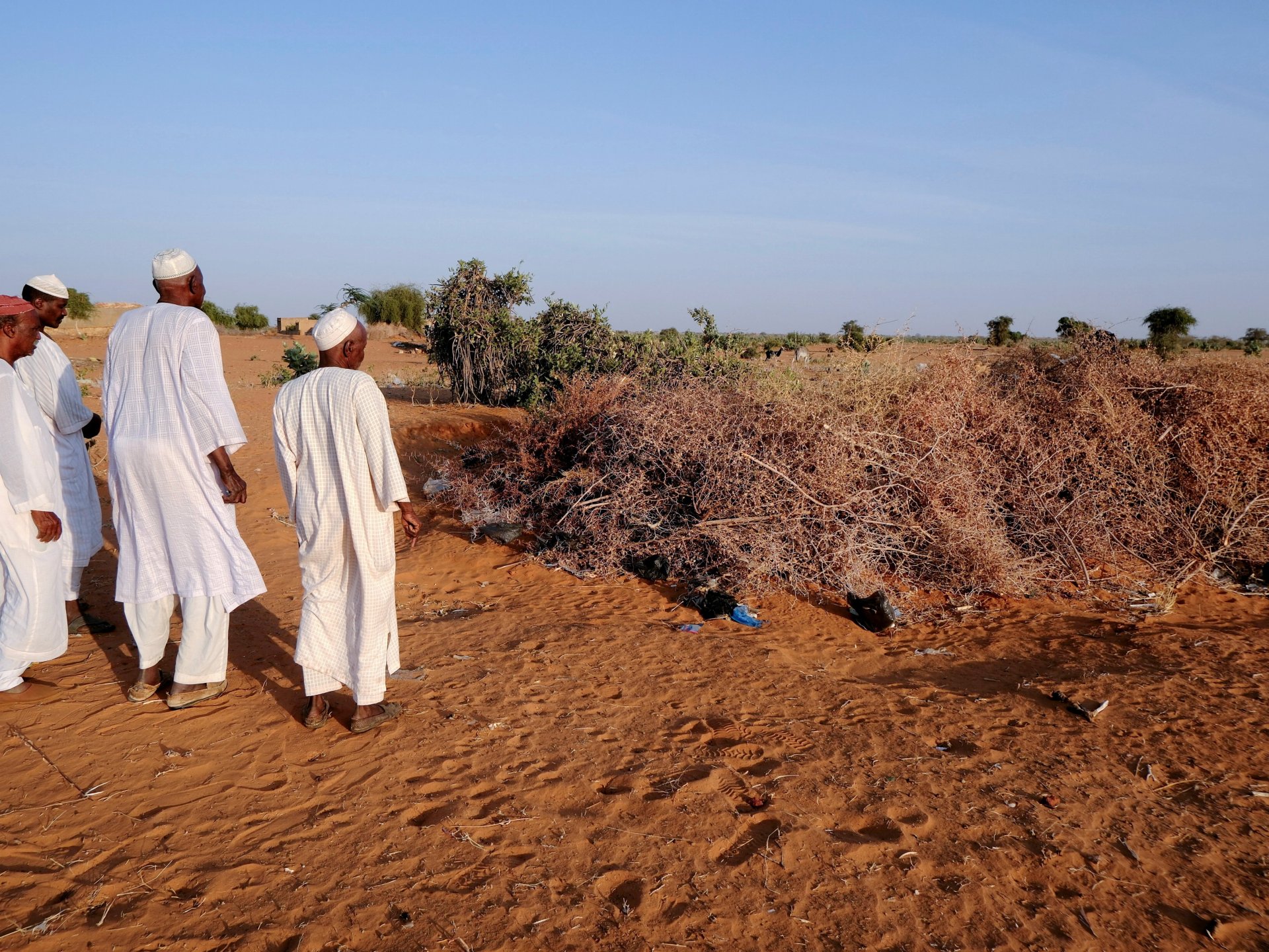 Mass grave found after Sudan army retakes Kurmuk