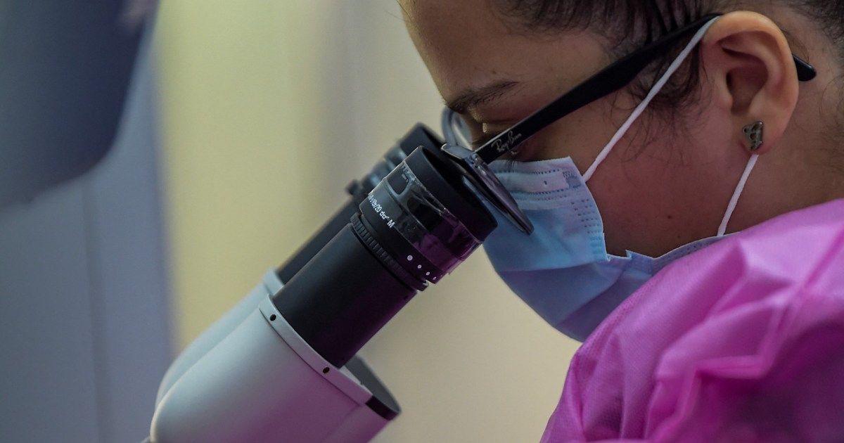 Researchers create viable viruses with artificial intelligence