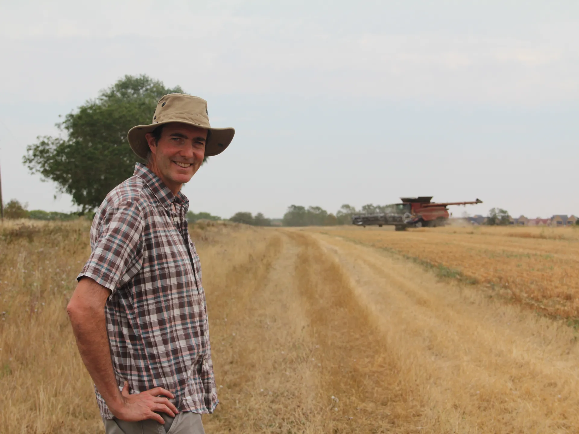 How drought is testing farmers across the United Kingdom