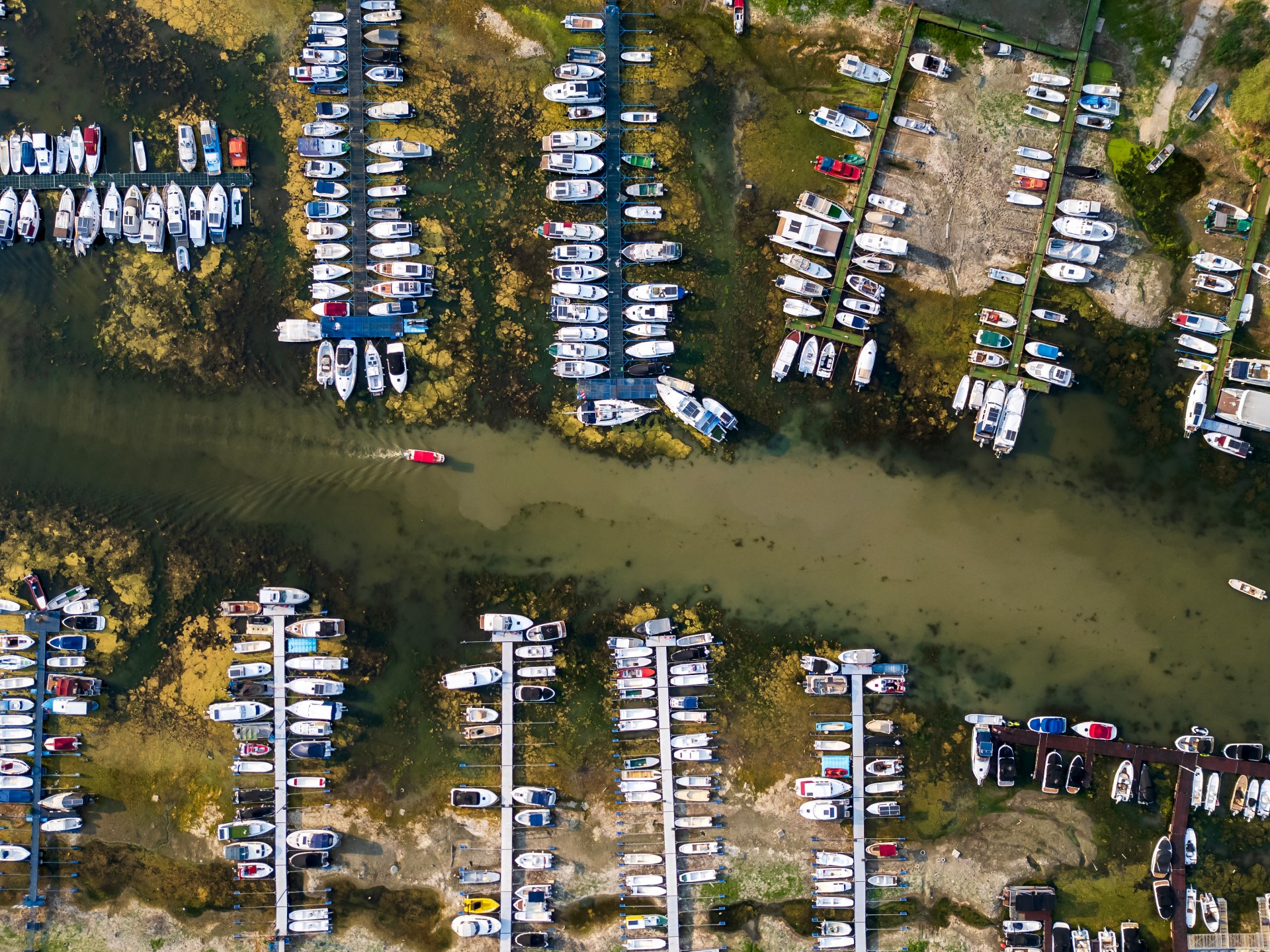 Satellite images show Europe’s rivers and green spaces under drought stress
