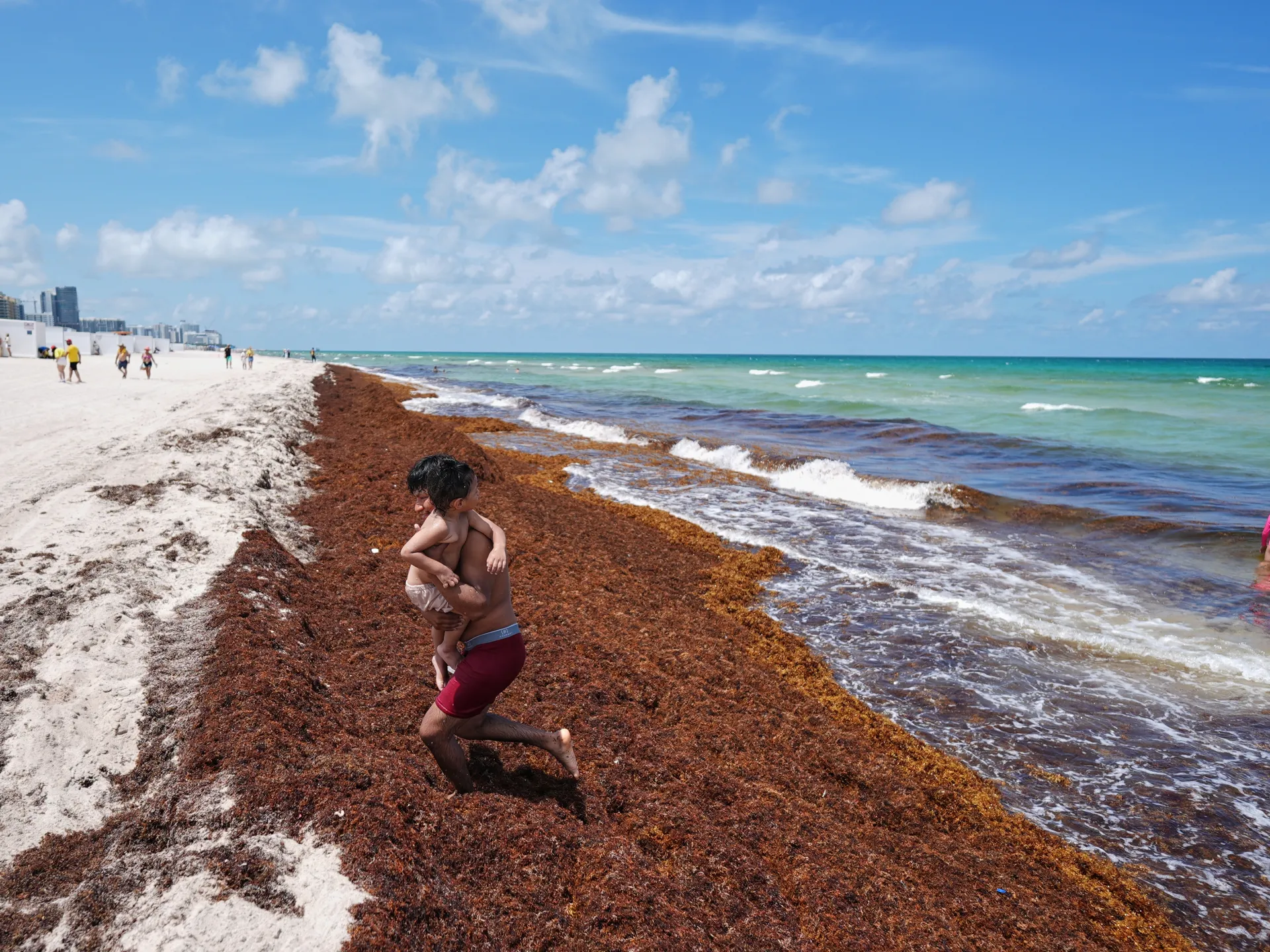 Ocean temperatures set a new record as El Niño intensifies