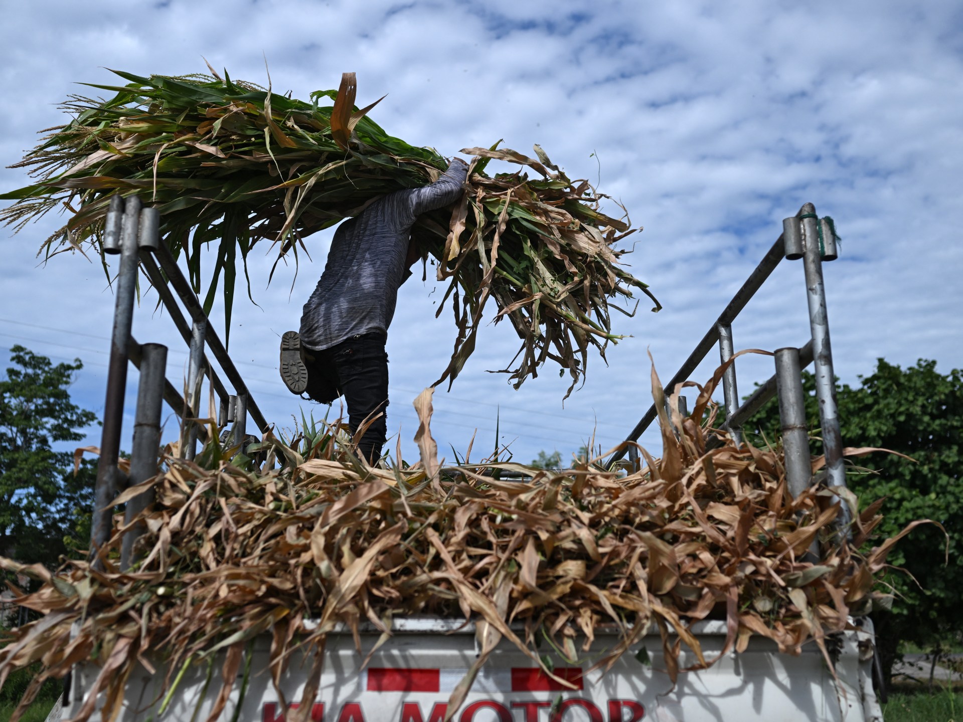 Why the forecast super El Niño matters worldwide