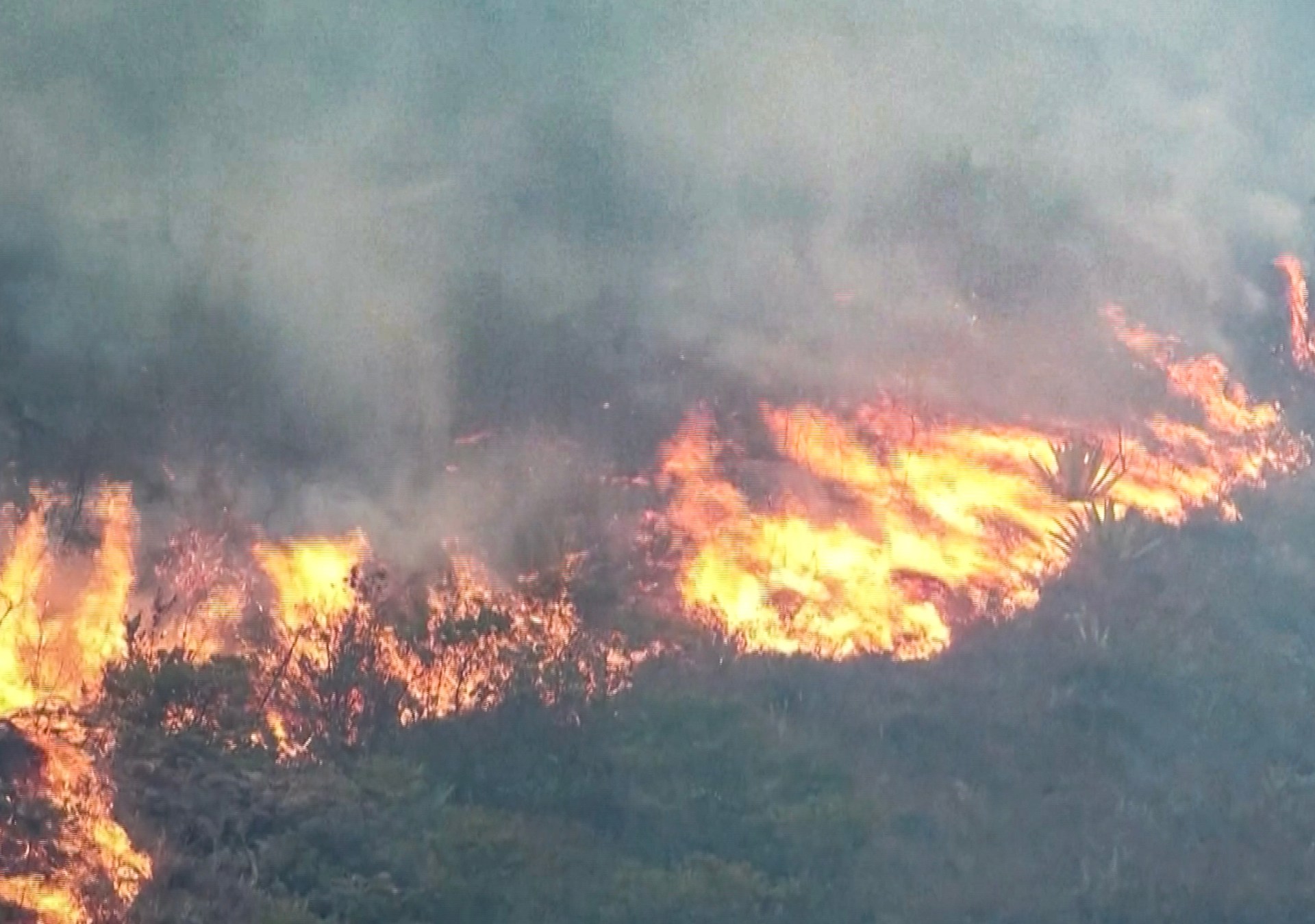 Wildfire burns 40 hectares near Colombia’s Villa de Leyva
