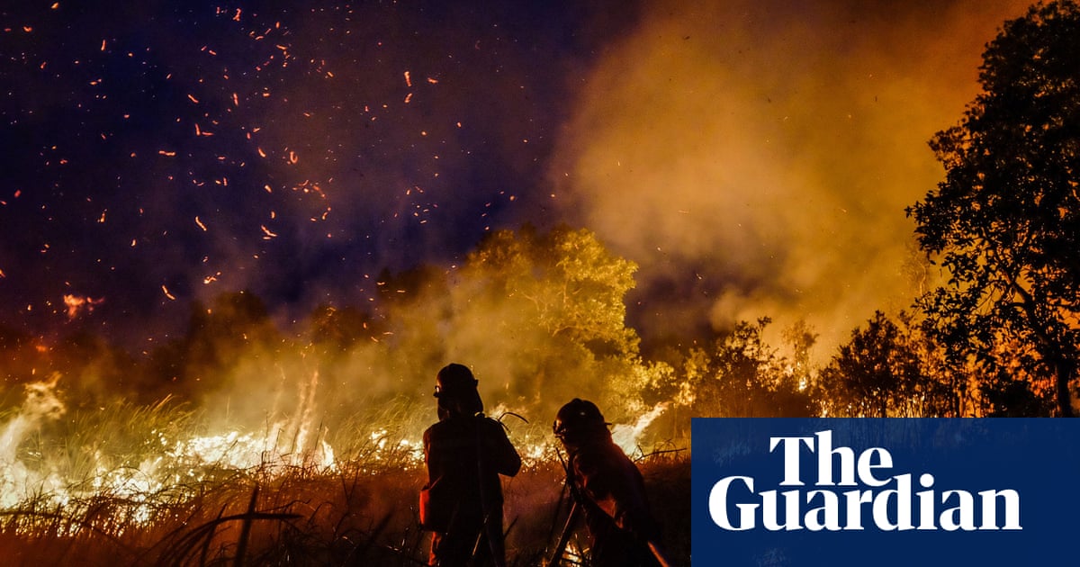 Kalimantan wildfires worsen as Indonesia faces a regional haze crisis
