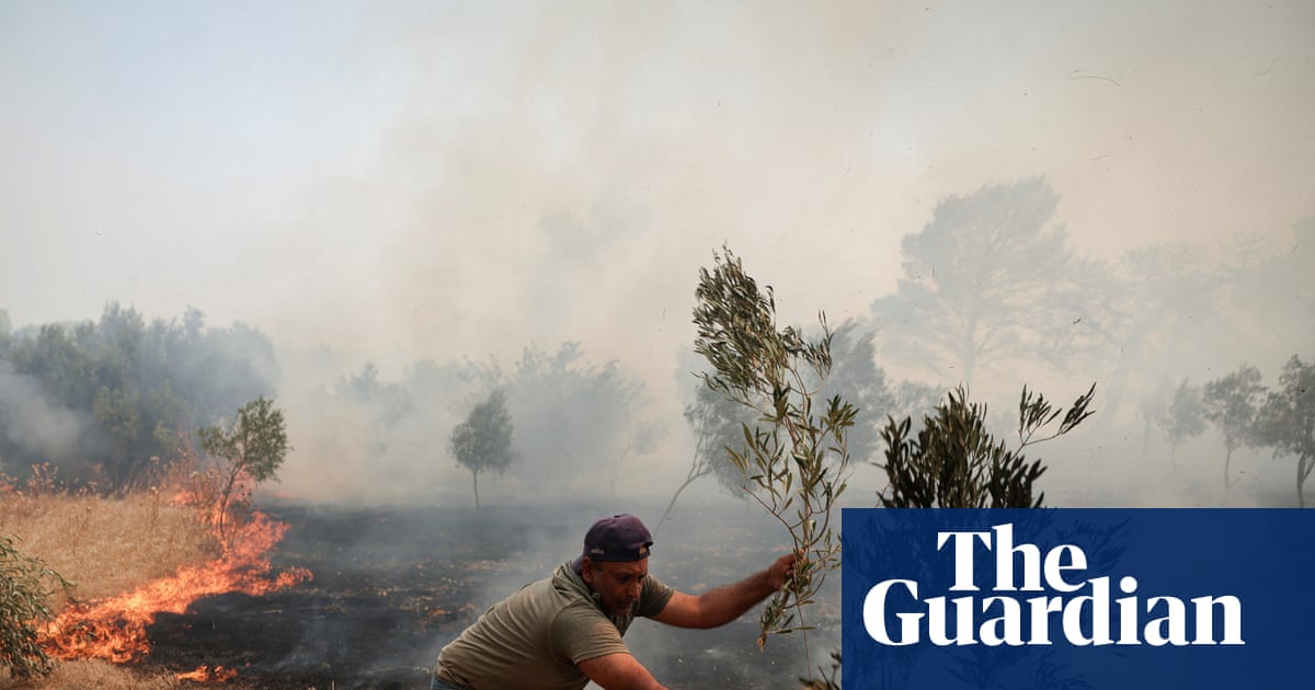 European Heat and Drought Put Olive Oil and Food Crops at Risk