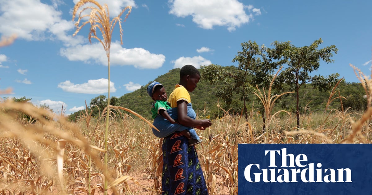 WFP warns El Niño could deepen hunger crisis in 45 countries
