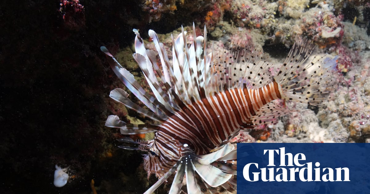 Europe’s 2026 marine heatwaves linked to carbon pollution