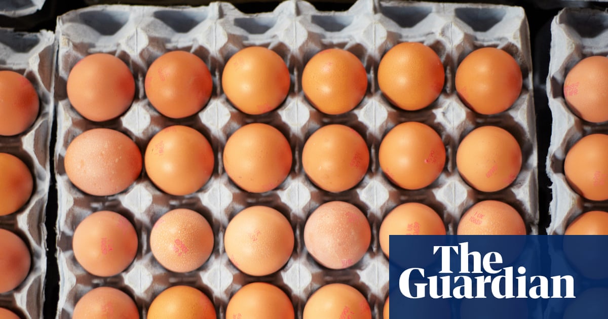 What to know about the UK salmonella outbreak and egg safety