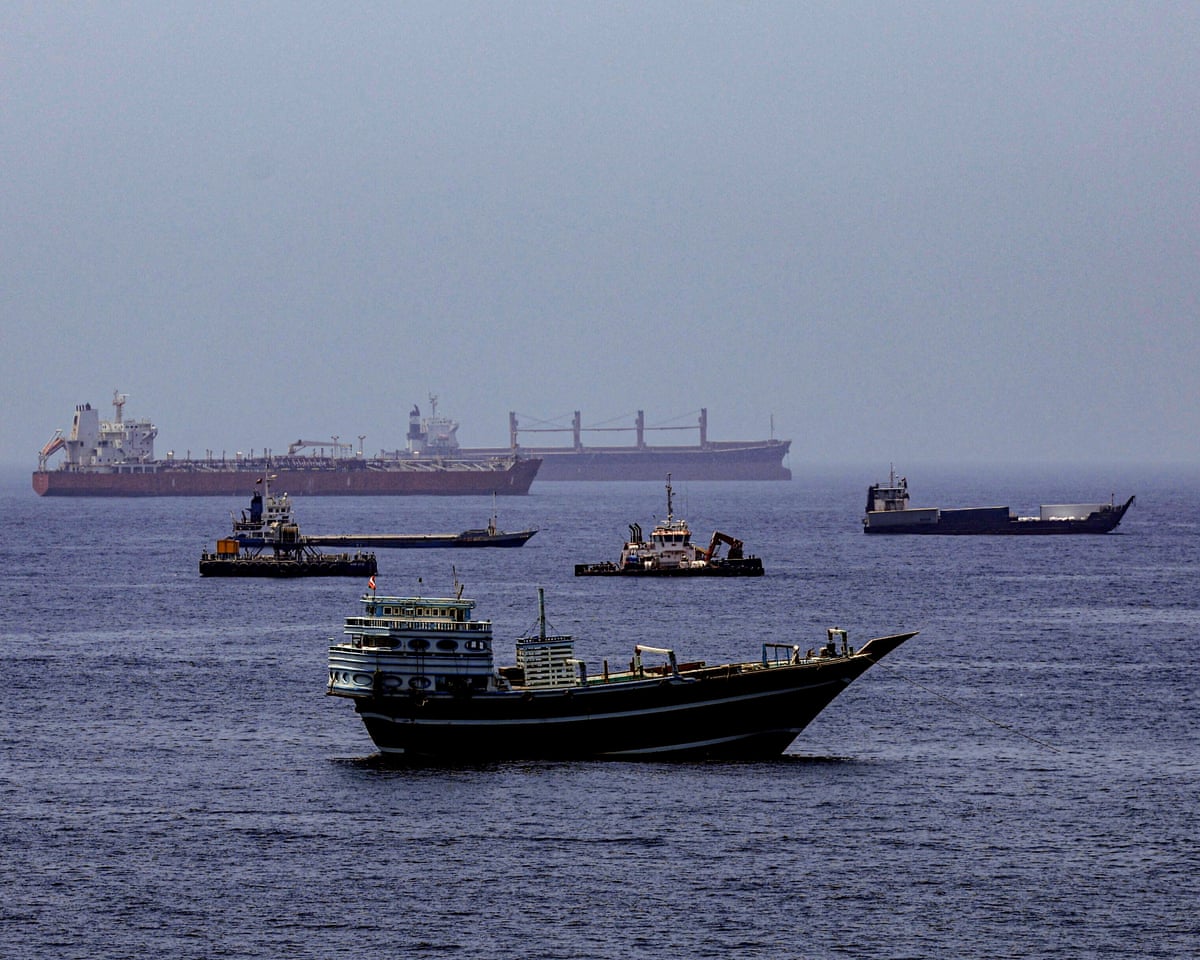 Scientists warn stranded vessels in Strait of Hormuz could trigger major biodiversity threat