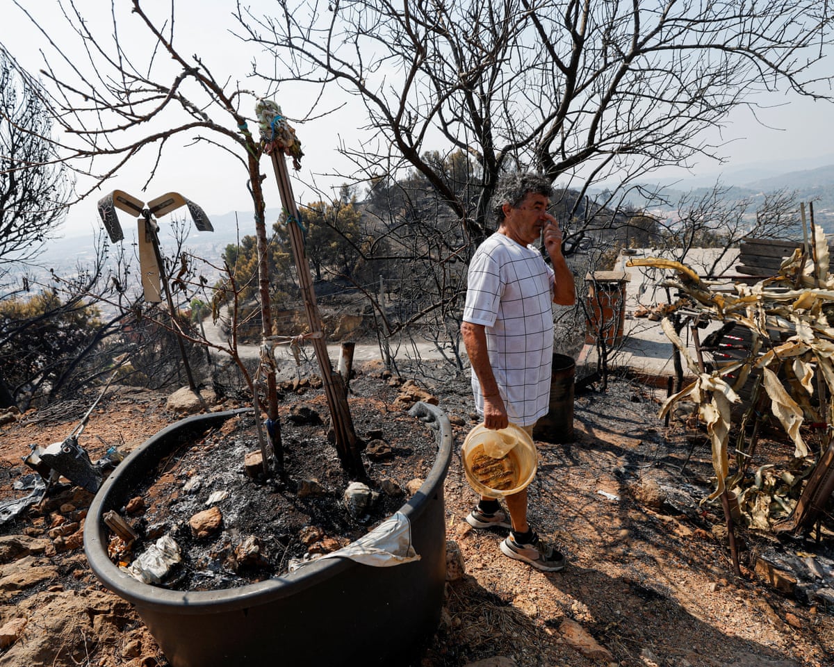 Past fires suggest effects of Europe and North America wildfires may linger for years