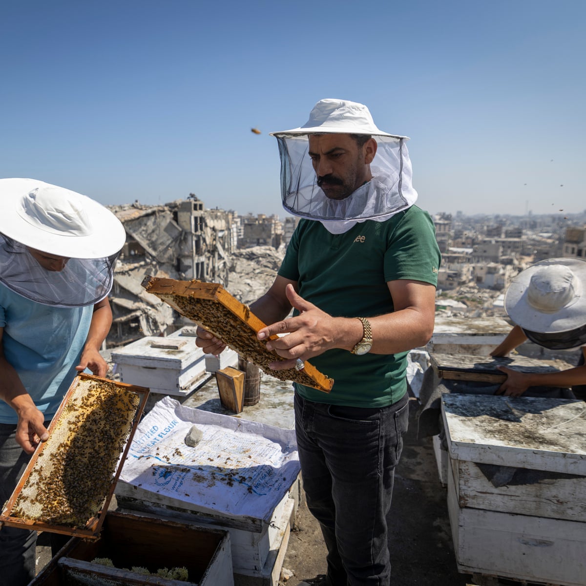 Gaza beekeeper perseveres to save beekeeping business amid war destruction