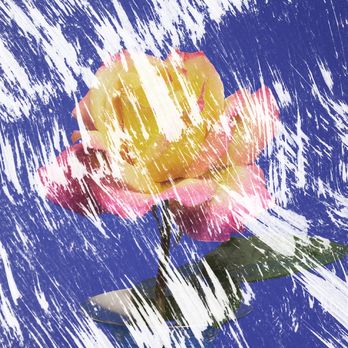 Living to Honor My Son After His Death: A Journey Through Grief