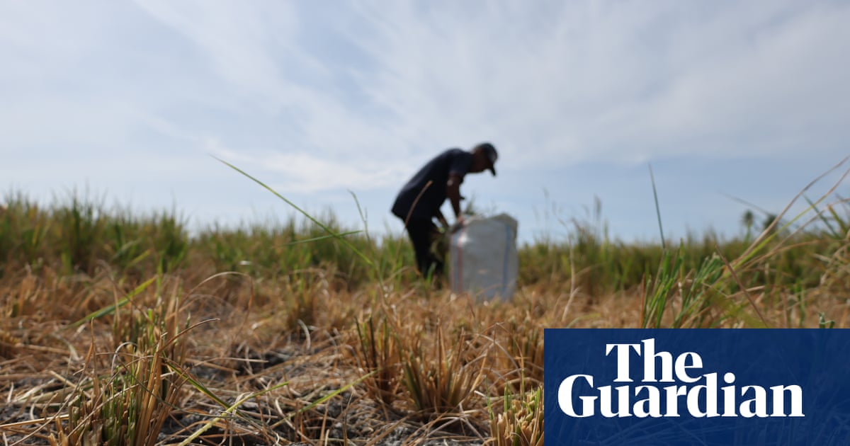 El Niño forecast to intensify as UN warns of global impacts
