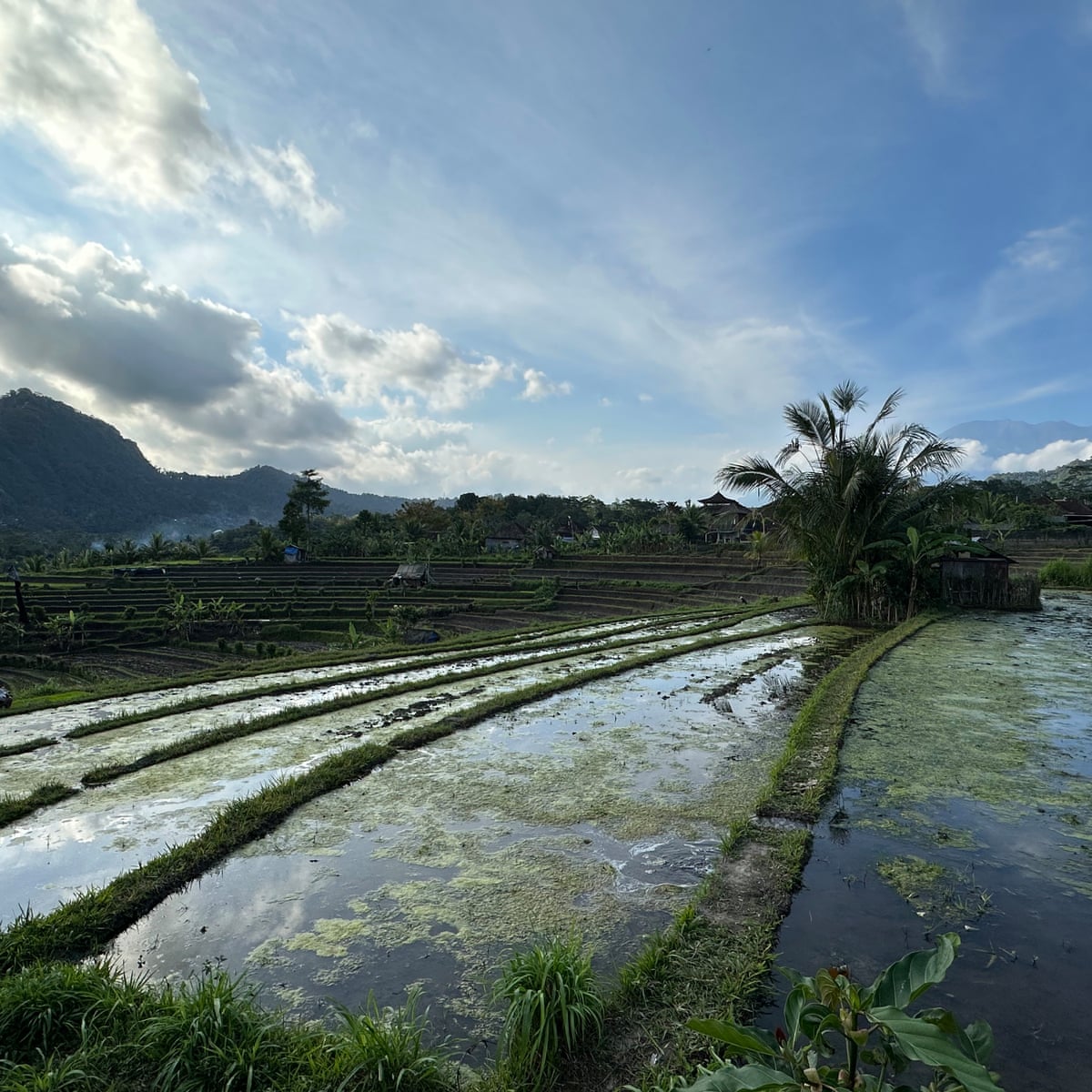 Who is ‘stealing’ Bali’s water? How tourism siphoned off a prized resource