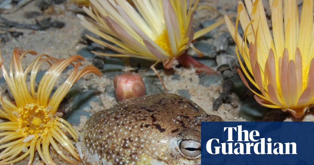 IUCN red list highlights species with remarkable survival skills endangered by human impact