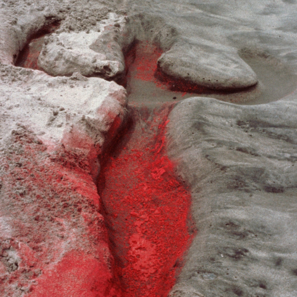 Ana Mendieta’s Art Reveals a Unique Connection Between Body and Nature