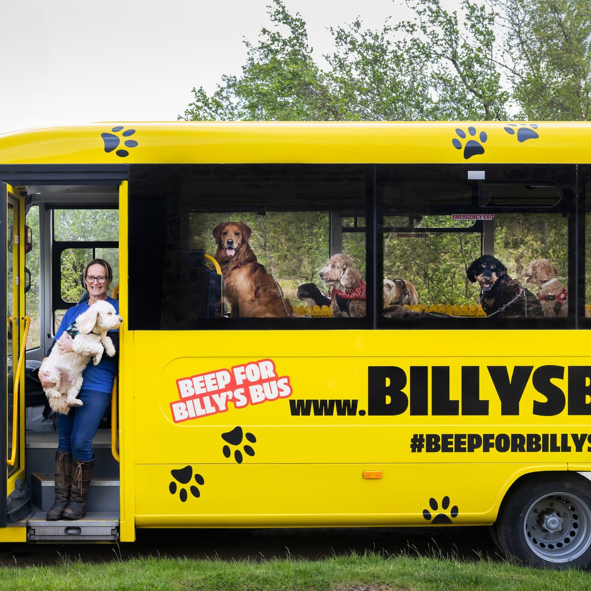 Driver Shares Experience of Operating a Bus Service for Dogs in Leeds