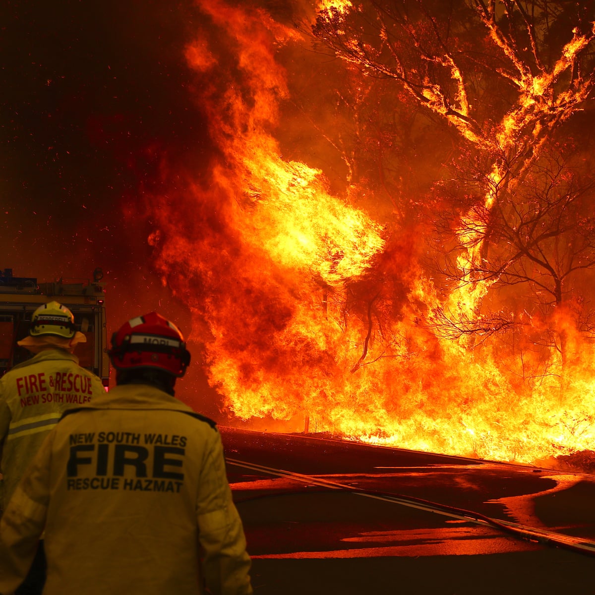 What Australia’s wildfire experience can teach the UK and Europe amid rising fires