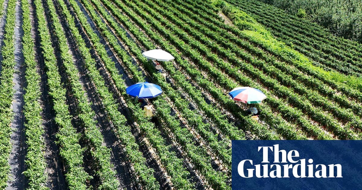 How record heat is damaging farms and communities in east Asia