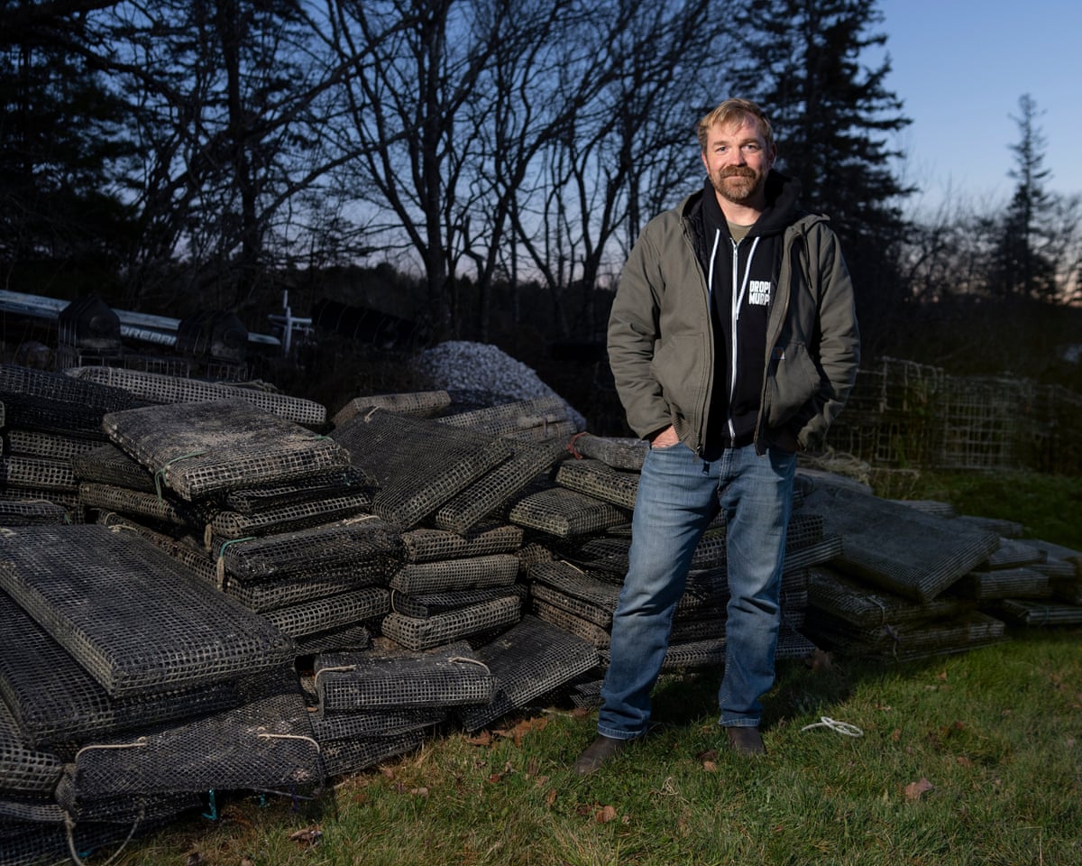 The collapse of Graham Platner’s campaign leaves Maine Democrats searching for answers