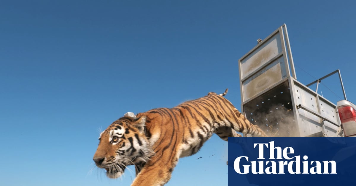 Umit marks Kazakhstan’s first step to restore the Caspian tiger