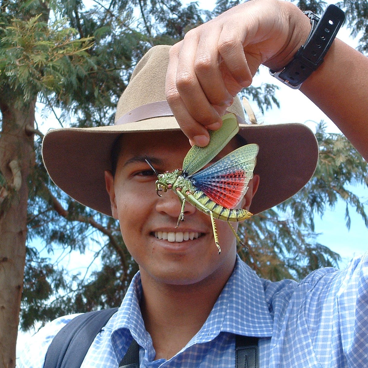 Entomologist Dino Martins Highlights the Importance of Parasites and Insects in Ecosystems