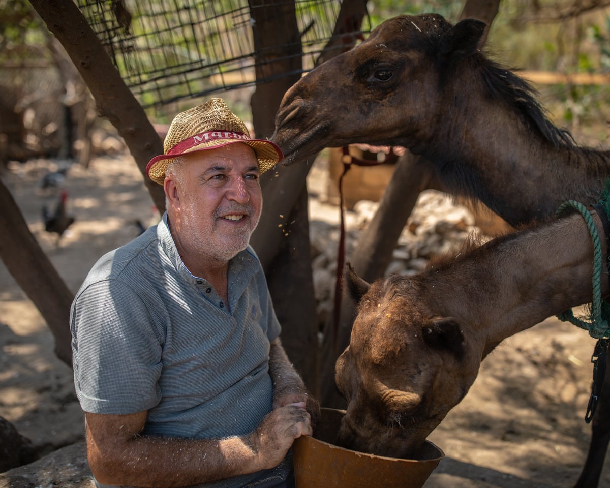 From near-death to devotion: Houssein Hamze protects animals during Lebanon’s conflicts
