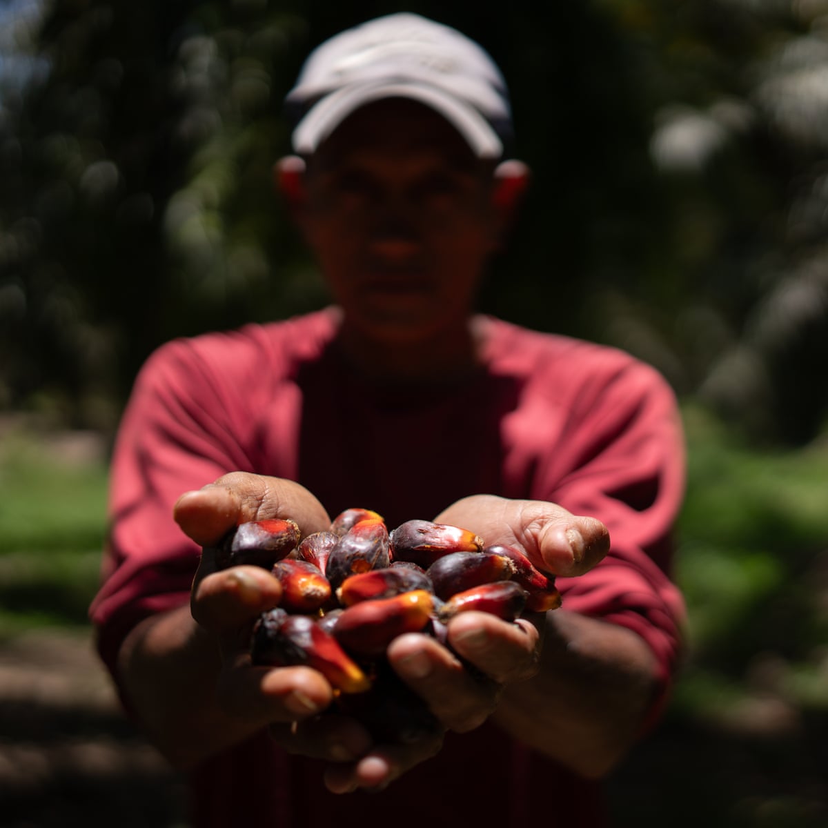 Honduras land defenders face violence and criminalisation