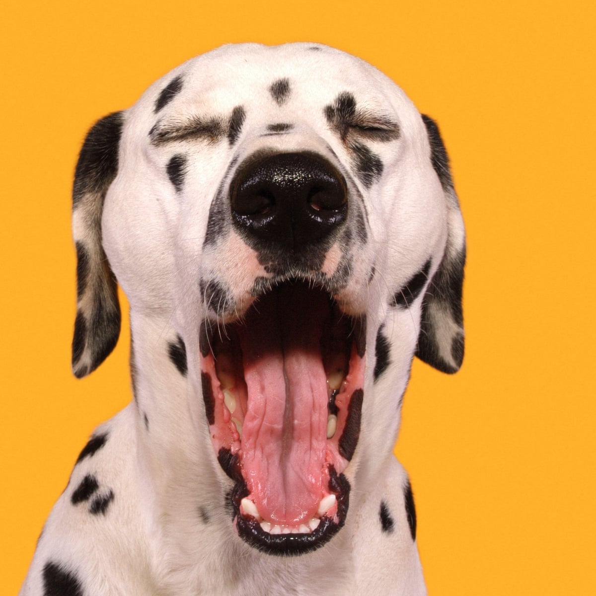 Why you might feel constantly exhausted and how to boost your energy levels
